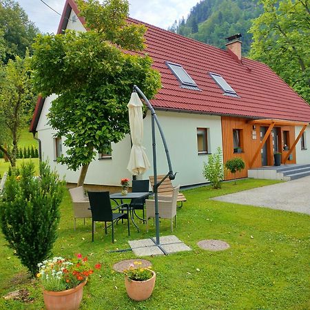 Apartmaji Pri Dravi Podvelka Esterno foto