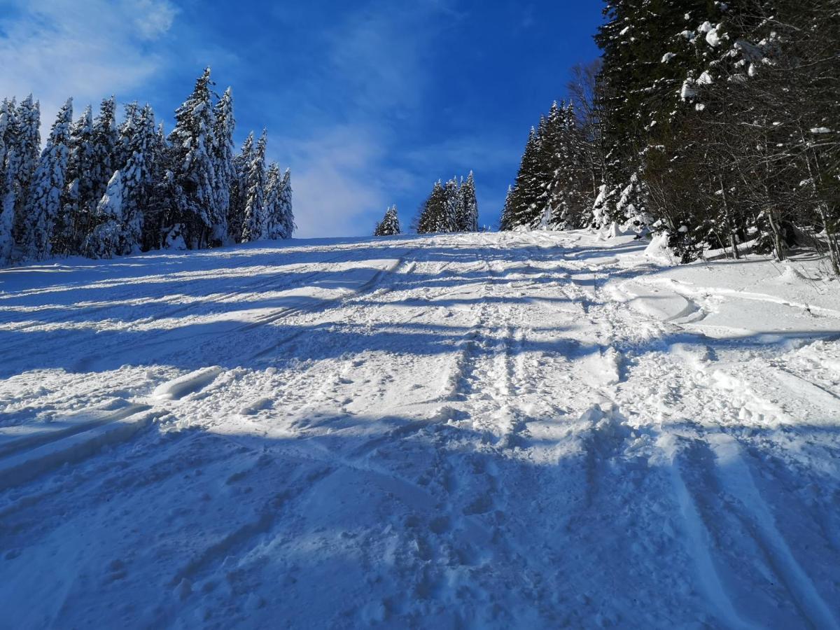 Apartmaji Pri Dravi Podvelka Esterno foto