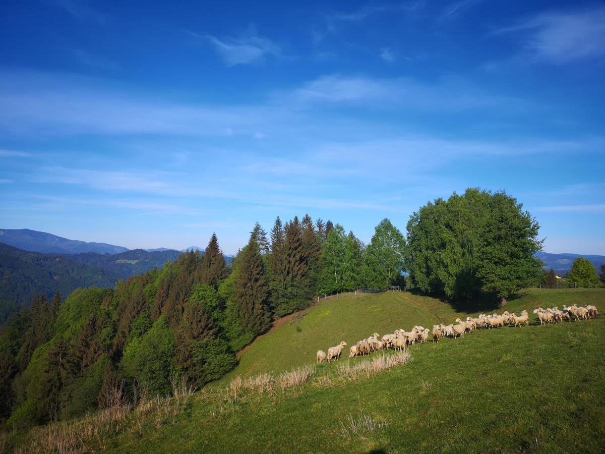 Apartmaji Pri Dravi Podvelka Esterno foto